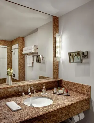 a bathroom with a sink and a mirror at Lotte New York Palace in New York