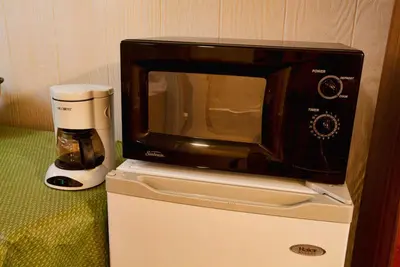 a microwave on top of a refrigerator next to a blender at Margaretville Motel in Margaretville
