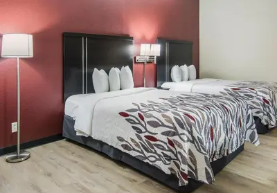 two beds in a hotel room with red walls at Red Roof Inn Binghamton North in Binghamton