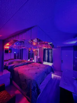 a zebra print bed in a room with purple lights at Executive Inn Coopersburg in Coopersburg