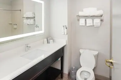 a bathroom with a sink and a toilet and a mirror at Holiday Inn Express and Suites Stroudsburg-Poconos by IHG in Stroudsburg