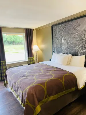 a hotel room with a large bed with a large window at Super 8 by Wyndham Danville in Danville
