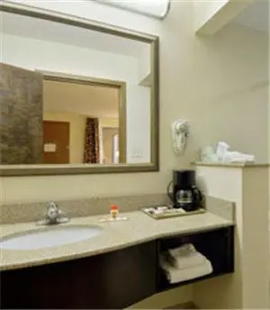 a bathroom with a sink and a mirror at Super 8 by Wyndham Danville in Danville