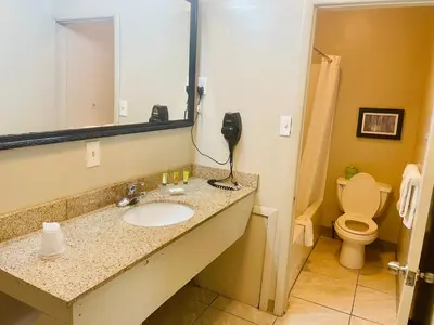 a bathroom with a sink and a mirror and a toilet at Red Carpet Inn Duncannon in New Buffalo