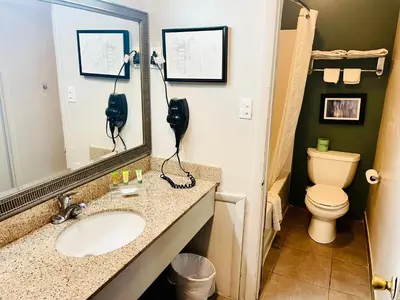 a bathroom with a sink and a toilet at Red Carpet Inn Duncannon in New Buffalo