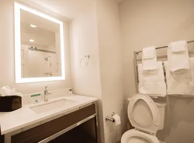 a bathroom with a sink and a toilet and a mirror at The Albion Summit in Summit
