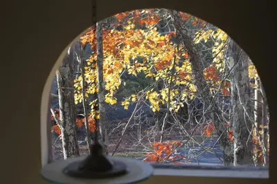 an arched window with a view of autumn leaves at Big House On The Hill in East Stroudsburg