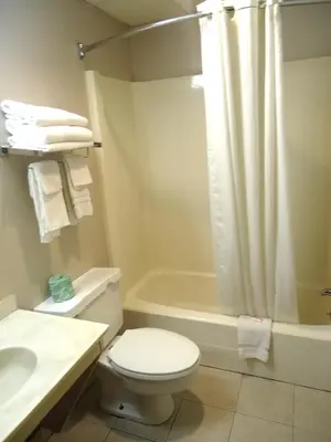 a bathroom with a toilet and a shower and a sink at Knights Inn Paxinos Elysburg in Paxinos