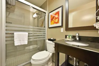 a bathroom with a toilet and a sink and a shower at Holiday Inn Lower East Side by IHG in New York