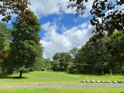 a green field with a tree and a line at Secluded Greekside Cabin near Camelback in Tannersville