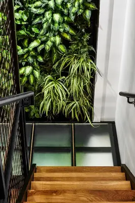 a green wall with stairs and a plant at Lokal Hotel Fishtown in Philadelphia