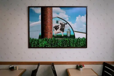 a picture of a cow in a barn on a wall at Lancaster Inn & Suites in Manheim