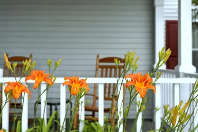 a white fence with orange flowers in front of a house at Lancaster Inn & Suites in Manheim
