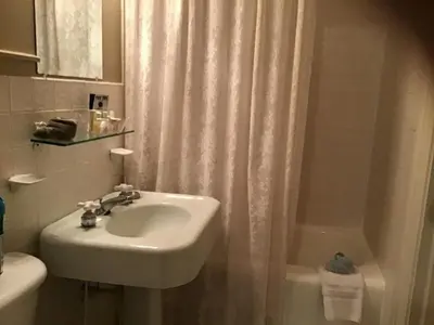 a bathroom with a sink and a shower curtain at Brookview Manor Inn in Canadensis