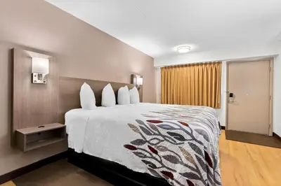 a hotel room with a large bed and a door at Red Roof Inn Harrisburg North in Harrisburg