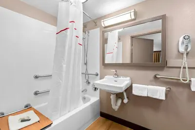 a bathroom with a sink and a shower and a mirror at Red Roof Inn Harrisburg North in Harrisburg