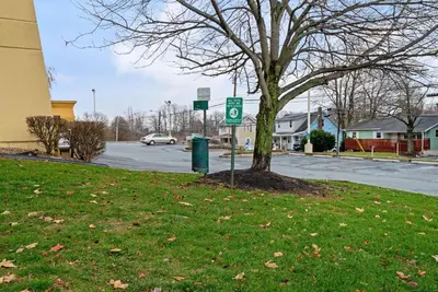 a tree sitting in the grass next to a street at La Quinta by Wyndham Harrisburg Airport Hershey in Harrisburg