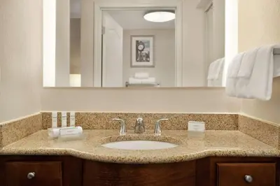 a bathroom with a sink and a large mirror at Homewood Suites by Hilton Dover - Rockaway in Dover