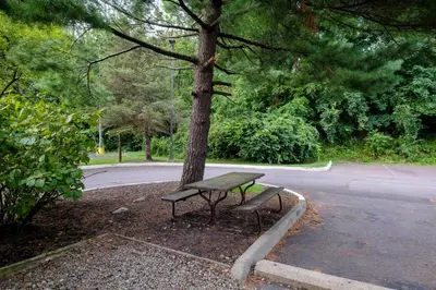 a park bench sitting next to a tree with a tree at Red Roof Inn Danville, PA in Danville