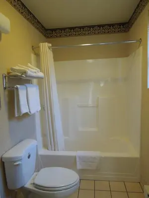 a bathroom with a white toilet and a shower at Value Inn East Stroudsburg in Marshalls Creek