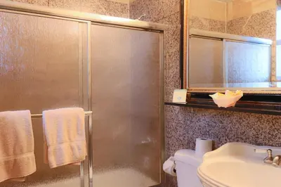a bathroom with a shower and a toilet and a sink at Da Vinci Hotel in New York
