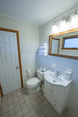 a bathroom with a white toilet and a sink at Lukans Farm Resort in Hawley