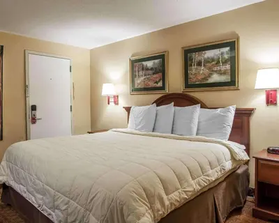 a large bed in a hotel room with two pictures on the wall at Econo Lodge Newton in Newton