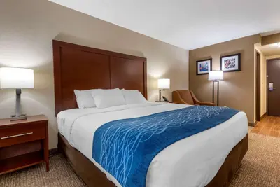 a large bed in a hotel room with two lamps at Comfort Inn Binghamton I-81 in Binghamton