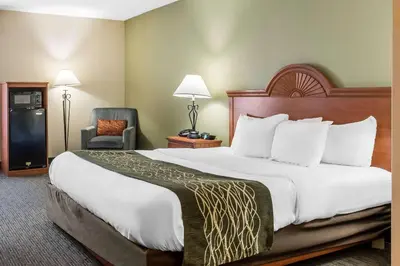 a hotel room with a large bed and a chair at Comfort Inn Pine Grove I-81 Hershey Area in Pine Grove