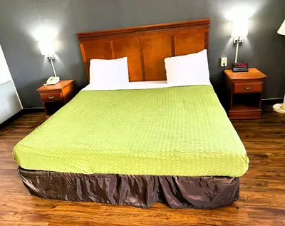 a bedroom with a large bed with a green blanket at Econo Lodge Drums in Drums