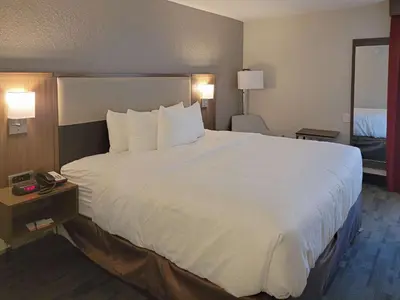 a large white bed in a hotel room at Comfort Inn & Suites Wyomissing-Reading in Wyomissing