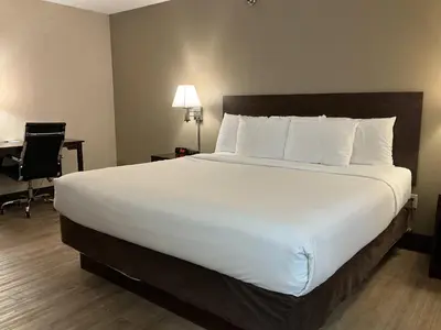 a large white bed in a hotel room at Quality Inn Wilkes-Barre near Arena in Wilkes-Barre