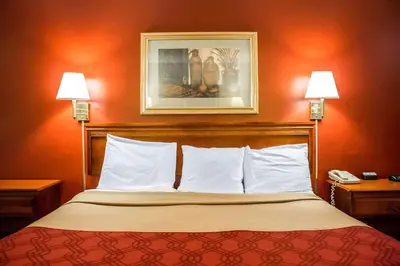 a bedroom with a bed with two lamps and a picture on the wall at Econo Lodge Williamsport in Williamsport