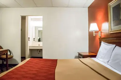 a hotel room with a bed and a sink at Econo Lodge Williamsport in Williamsport