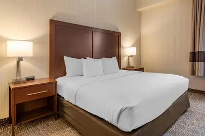 a large bed in a hotel room with two lamps at Comfort Suites Downtown Carlisle in Carlisle