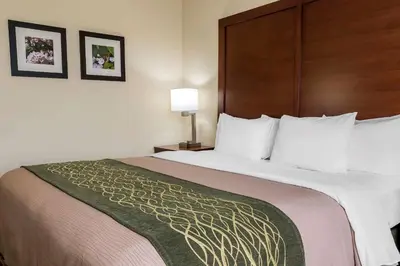 a bed in a hotel room with a large bed at Comfort Inn - Pocono Mountains in White Haven