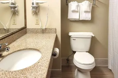 a bathroom with a toilet and a sink at Comfort Inn & Suites Mount Pocono in Mount Pocono