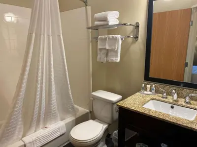 a bathroom with a toilet and a sink and a shower at SureStay Plus by Best Western Jonestown Lebanon Valley in Jonestown