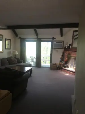 a living room with a couch and a fireplace at 106 Village at Camelback in Tannersville