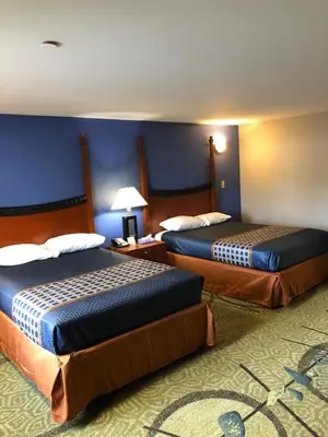 two beds in a hotel room with blue walls at Budget Inn Williamsport in Williamsport