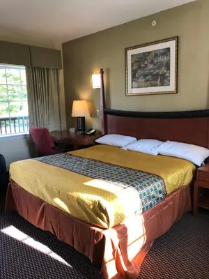 a hotel room with a large bed and a window at Budget Inn Williamsport in Williamsport