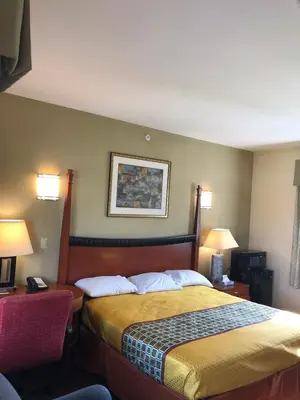 a hotel room with a bed and two lamps at Budget Inn Williamsport in Williamsport
