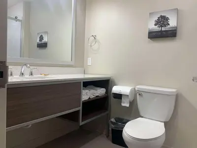 a bathroom with a toilet and a sink and a mirror at Best Western Plus Horseheads - Elmira in Horseheads