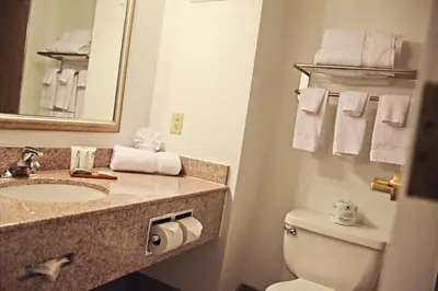 a bathroom with a sink and a toilet and a mirror at Country Inn & Suites by Radisson, Frackville (Pottsville), PA in Mount Pleasant