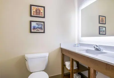 a bathroom with a white toilet and a sink at Comfort Inn & Suites Harrisburg - Hershey West in Harrisburg