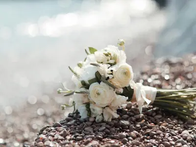a bouquet of white roses sitting on a beach at Holiday Inn Express Bordentown - Trenton South by IHG in Bordentown