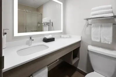 a bathroom with a sink and a mirror and a toilet at Holiday Inn Express & Suites Wyomissing by IHG in West Reading