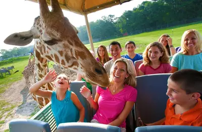 a giraffe sticking its tongue out at a group of people at Radisson Hotel Freehold in Freehold