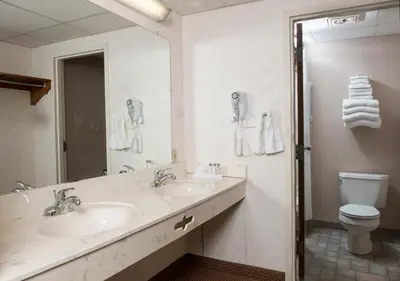 a bathroom with a sink and a toilet and a mirror at Bird-in-Hand Family Inn in Bird in Hand