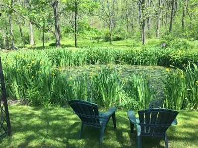 two chairs sitting in the grass next to a pond at Hawk Mountain Bed & Breakfast in Kempton